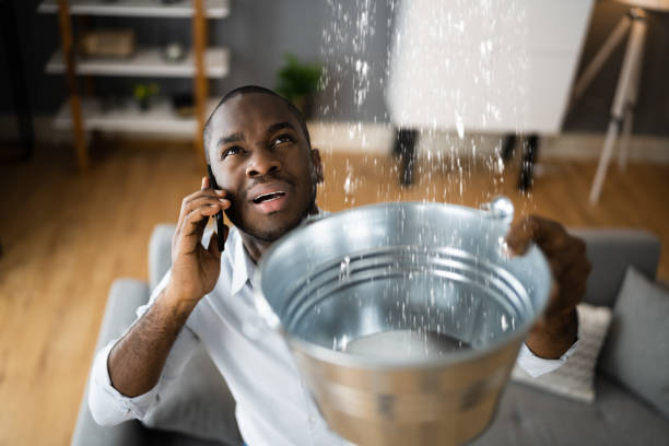 Best Ceiling water damage repair  in Taft Heights, CA
