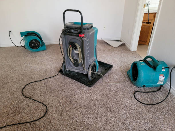 Best 24/7 water damage repair  in Taft Heights, CA