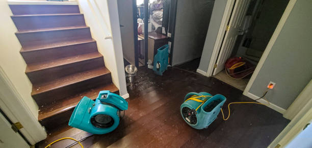 Carpet water damage restoration in CA