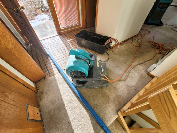  Taft Heights, CA Water damage restoration Pros
