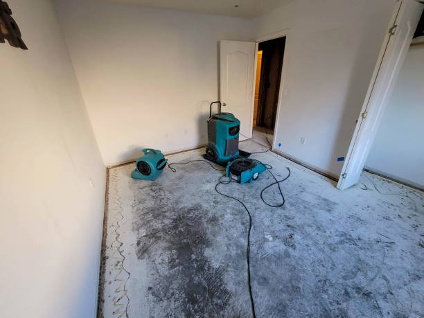 Best Flood damage cleanup  in Taft Heights, CA