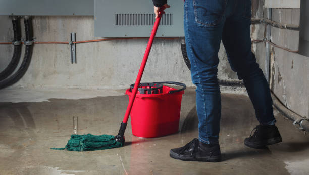 Best Water damage restoration near me  in Taft Heights, CA