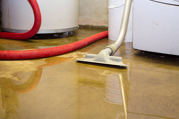 Best Flood damage cleanup  in Taft Heights, CA