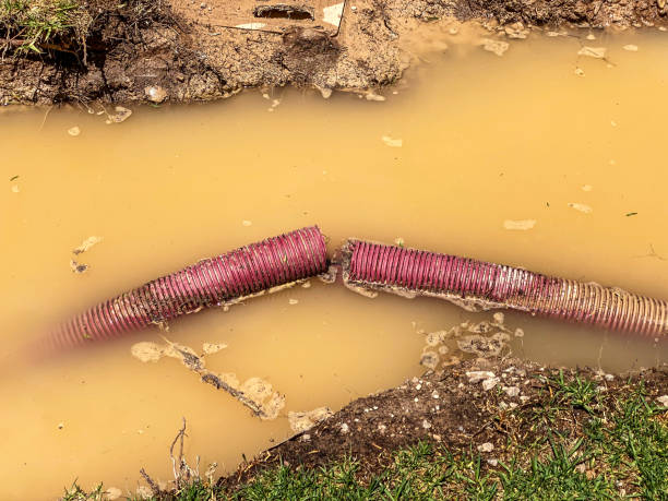 Best Residential water damage restoration  in Taft Heights, CA