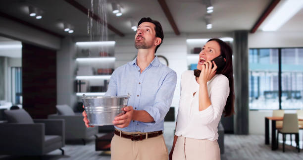 Best Local water damage restoration  in Taft Heights, CA