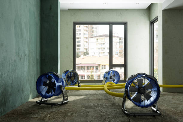 Best Carpet water damage restoration  in Taft Heights, CA